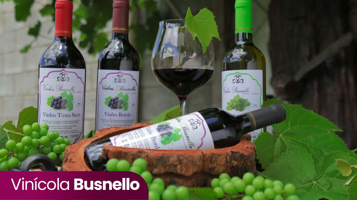Vinhos da Vinícola Busnello