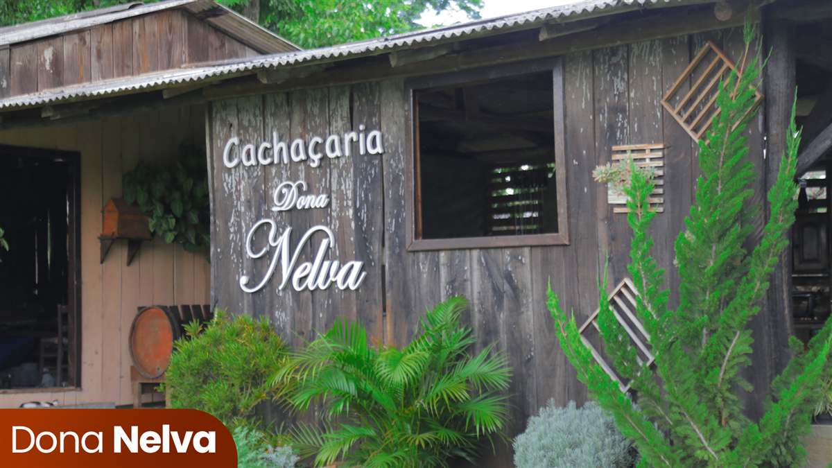Cachaçaria Dona Nelva