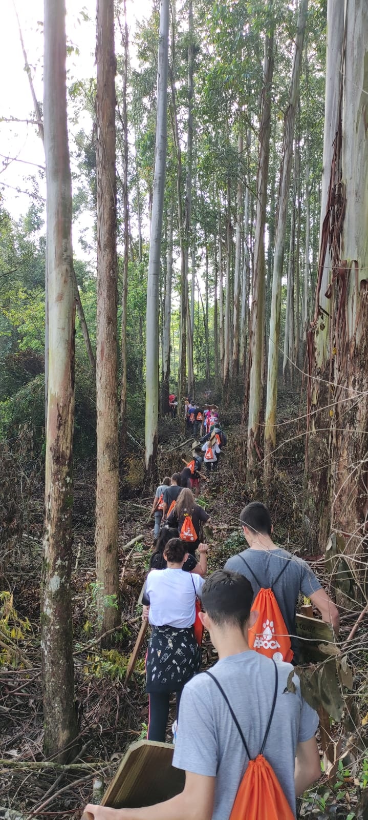 Grupo percorrendo uma trilha entre as árvores